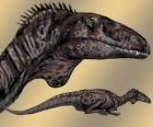 Zupaysaurus ulaşan 4 m uzunluğunda, 1.20 boyunda ve 200 kg ağırlığında, orta büyüklükte bir theropod